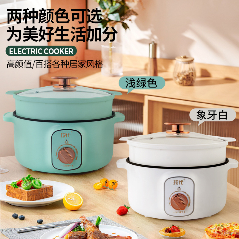 قدر كهربائي صغير متعدد الوظائف - مراجعة Kitchen Appliances Are وسعره